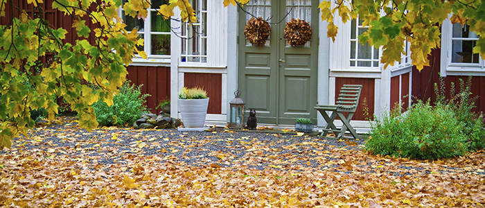 En grön entrédörr på ett rött trähus. På marken ligger det gula höstlöv.