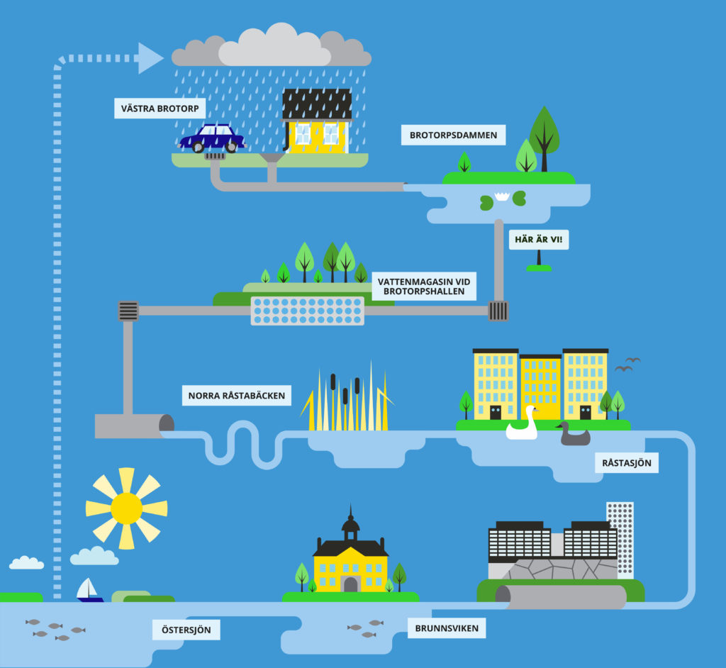 En illustration av vattnets väg i Brotorpsdammen