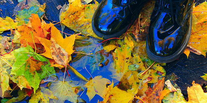 Gula och gröna höstlöv ligger i vatten på marken. ett par svarta skor står på några av löven.