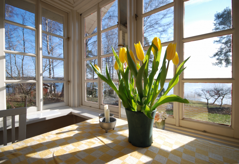 Gula tulpaner står i en vas på ett bord på en glasveranda där solen strålar in genom fönstren.