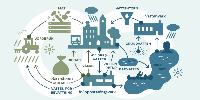 Vattnets väg - illustration från Svenskt Vatten