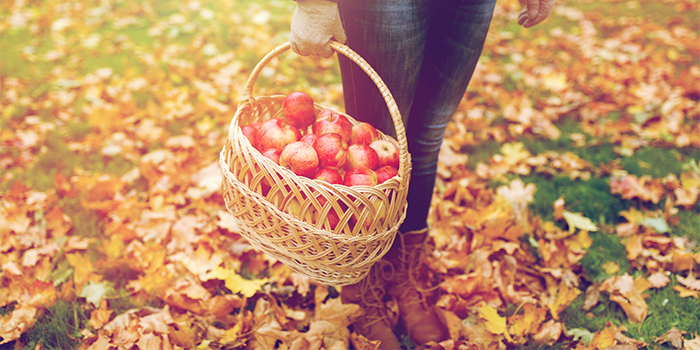 En kvinna håller i en korg full av röda äpplen. Gräsmattan är täckt av gula höstlöv.